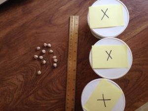 3x is 12 bean algebra