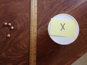 4 is x, shown with bean algebra