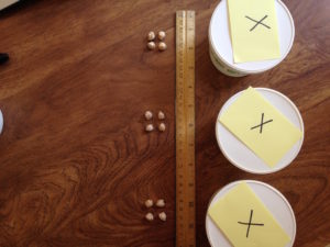 Algebra manipulatives show 12=3x