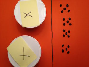 2x = -20, lids concealing answer