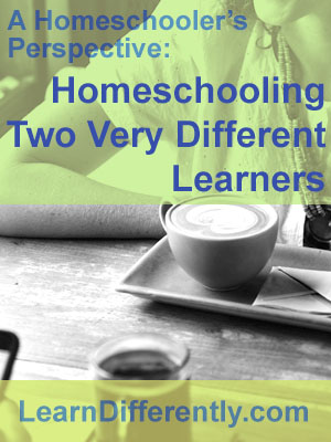 A Homeschooler's Perspective