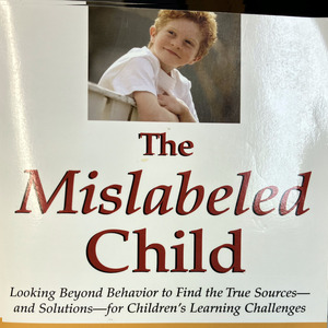 Review: The Mislabeled Child by Drs. Brock & Fernette Eide