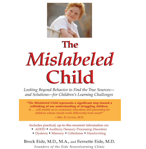 The Mislabeled Child, a helpful book by Drs. Brock and Fernette Eide